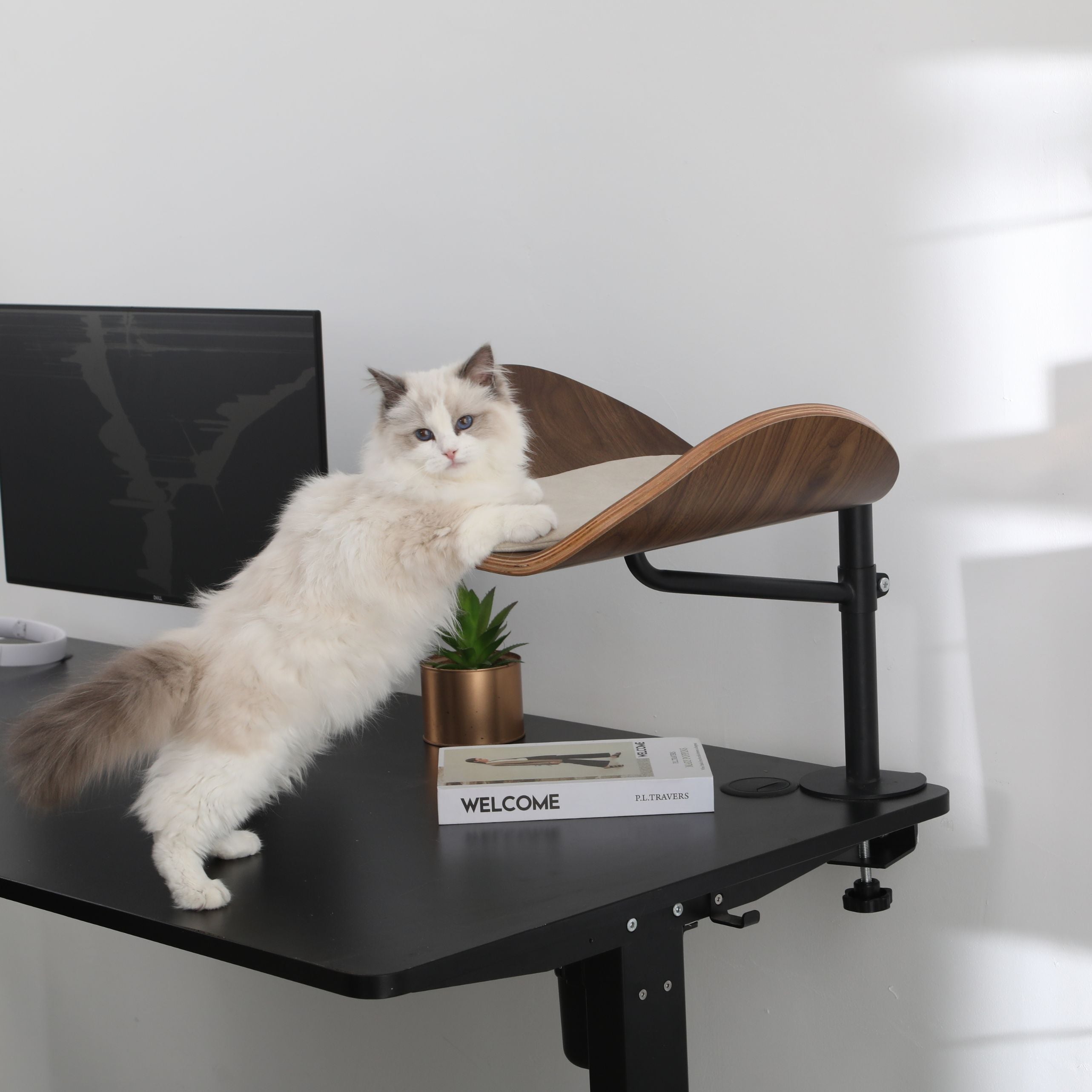 Deskfurr Lite