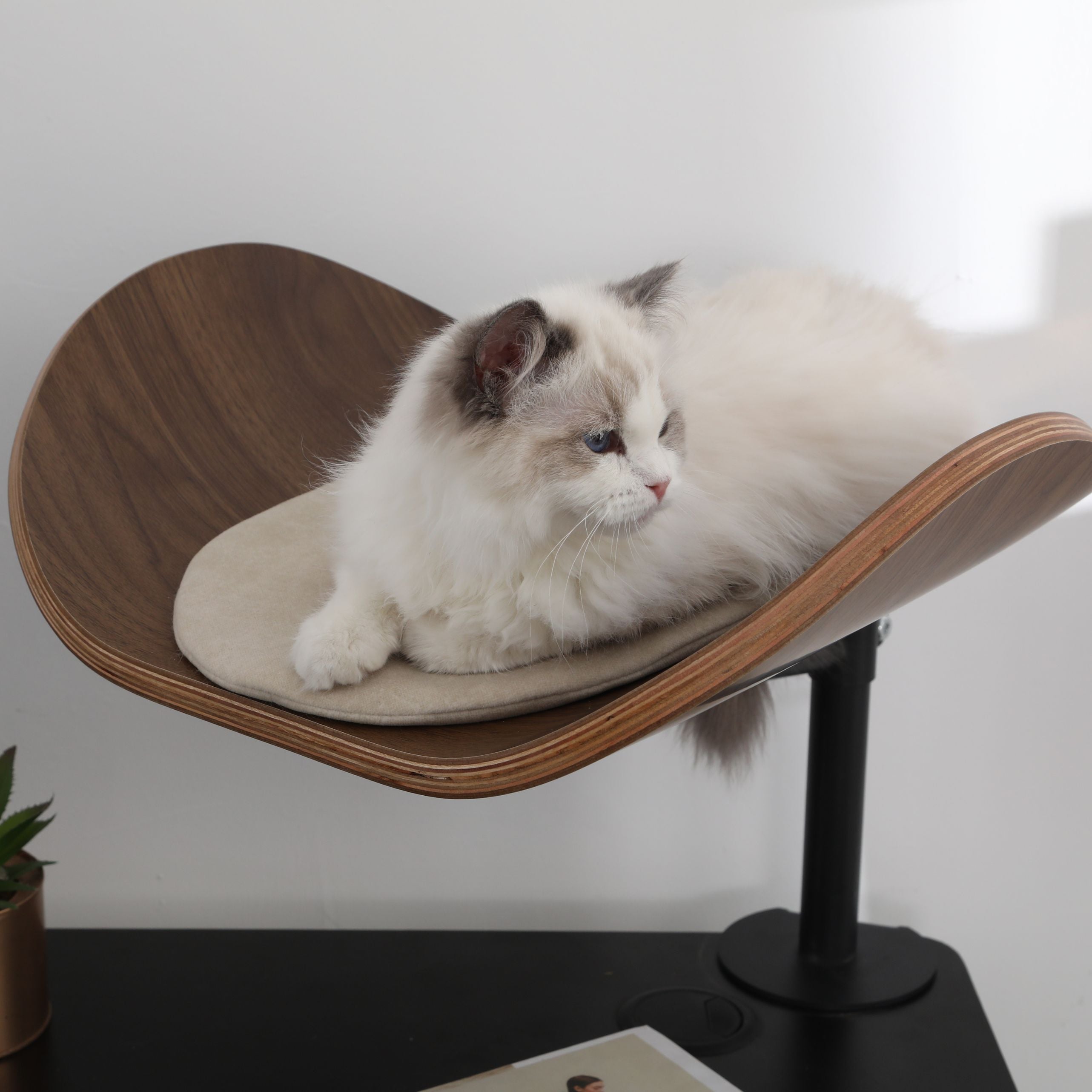 Deskfurr Lite