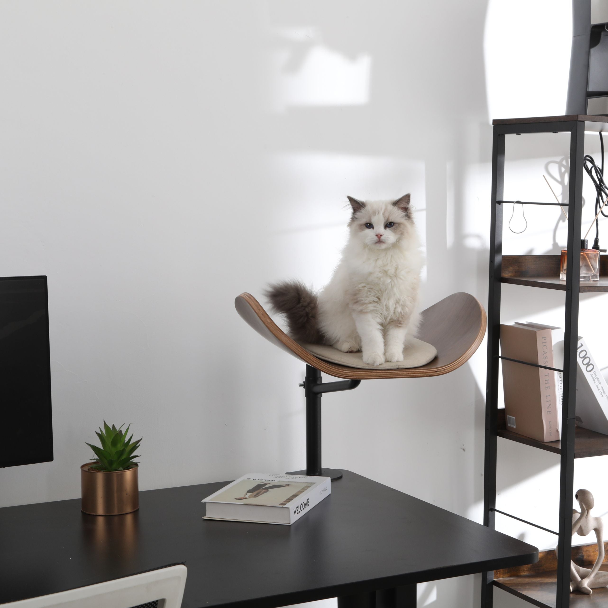 Deskfurr Lite