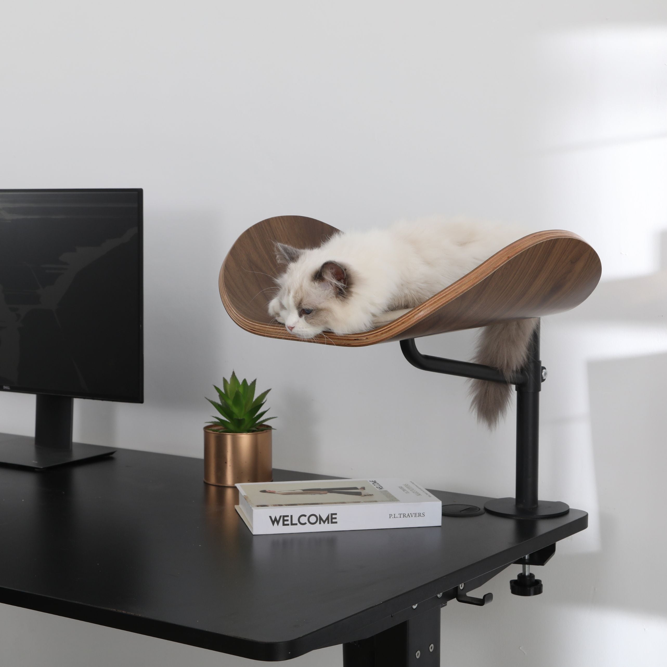 Deskfurr Lite